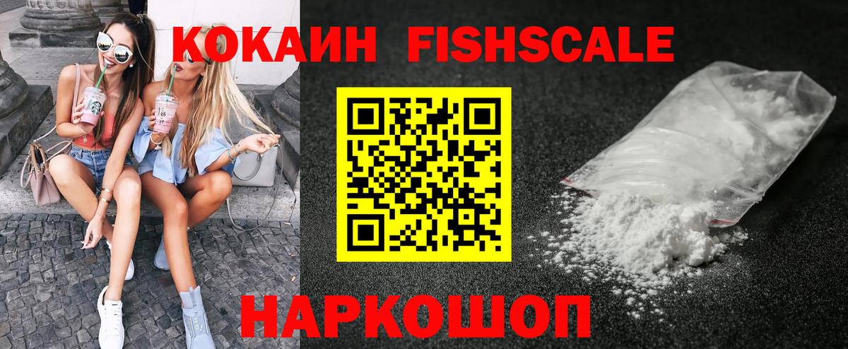 COCAIN FishScale  COCAIN FishScale  Павлово  Вход с VPN 