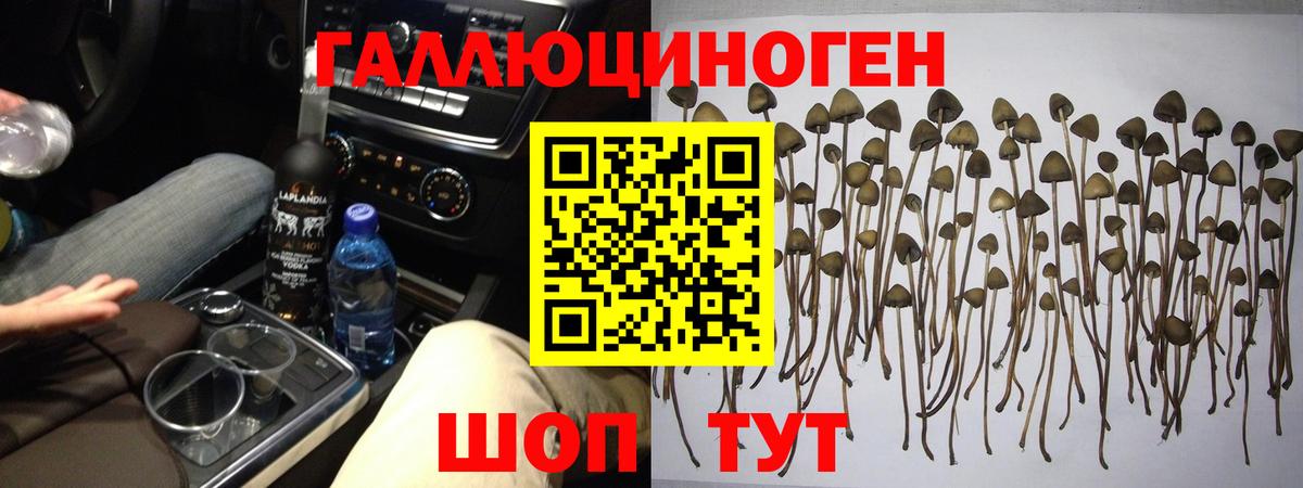 Галлюциногенные грибы MAGIC MUSHROOMS Павлово